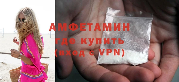 гидра Вязьма