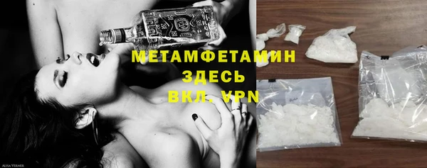 гидра Вязьма
