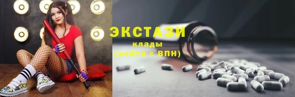 гидра Вязьма