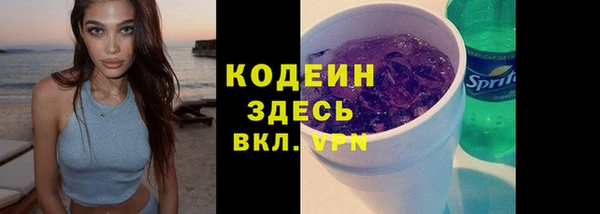 гидра Вязьма