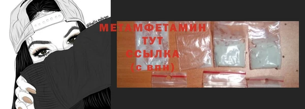 гидра Вязьма