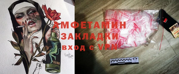 гидра Вязьма