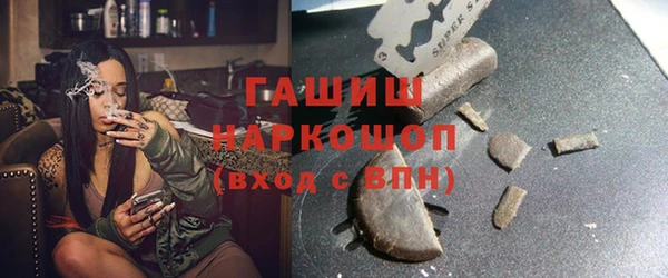 гидра Вязьма