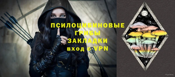 гидра Вязьма