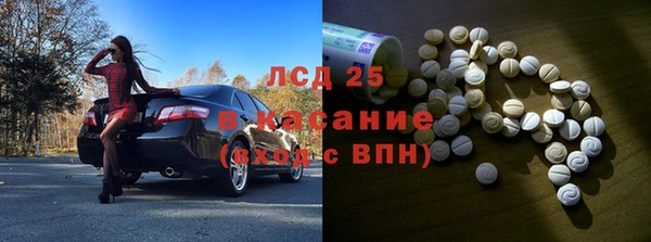 гидра Вязьма